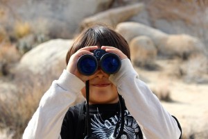 visibilità sito web